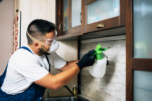 Best Wasp Removal Services  in Hopatcong, NJ