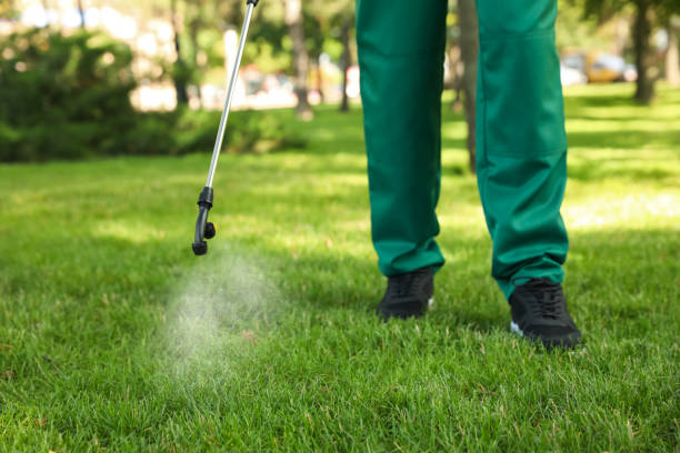 Reliable Hopatcong, NJ Pest Control Solutions