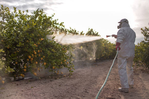 Best Pest Control Near Me  in Hopatcong, NJ
