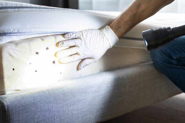Best Local Pest Control Services  in Hopatcong, NJ
