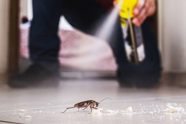 Best Pest Prevention Services  in Hopatcong, NJ