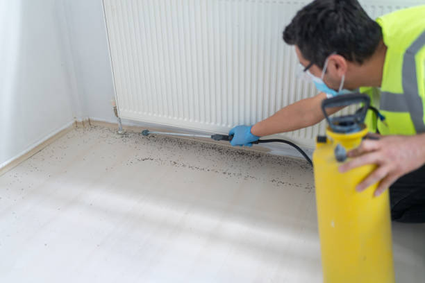 Best Termite Control Services  in Hopatcong, NJ