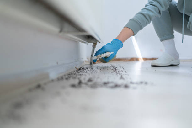 Pest Prevention Services in Hopatcong, NJ