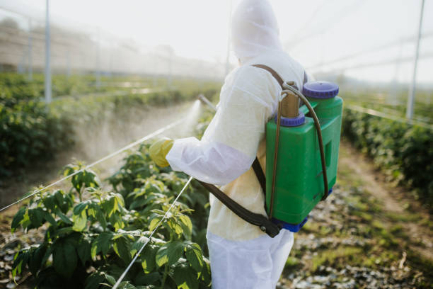 Best Cockroach Control Services  in Hopatcong, NJ